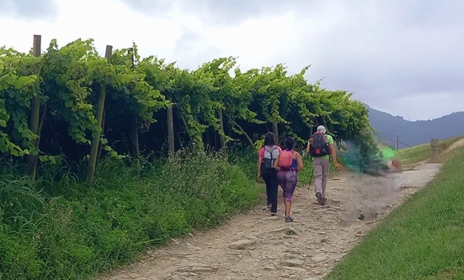 imagen Diálogos desde Evang. 19 Abril-26